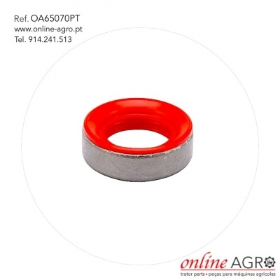 Anel metálico com interior vermelho sobre fundo branco e texto informativo.