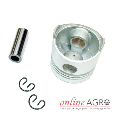 Conjunto pistão metálico prateado com pino, clips, fundo branco, logótipo online AGRO