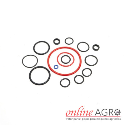 Conjunto de anéis de vedação em várias cores e tamanhos sobre fundo branco com logotipo online AGRO