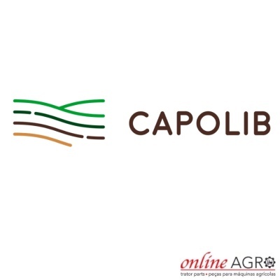 Logótipo CAPOLIB com linhas coloridas e texto online AGR