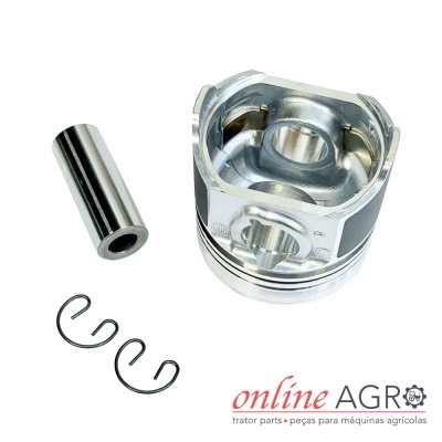 Conjunto de pistão metálico com anel e molas sobre fundo branco com logótipo online AGRO.