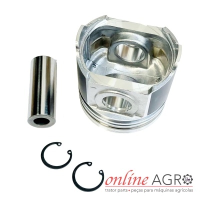 Conjunto de pistão metálico com anéis e eixo cilíndrico sobre fundo branco com logo online AGRO