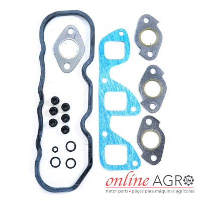 Conjunto de juntas para motor com várias peças em diferentes cores sobre fundo branco e logo online AGRO