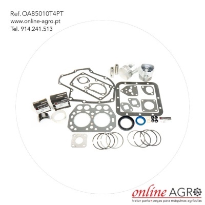 Conjunto de peças para motor agrícola com texto de referência e contactos