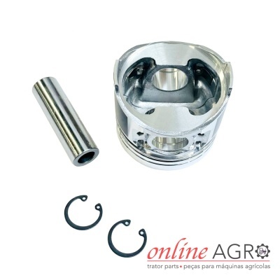 Conjunto de pistão metálico com pino e anéis de retenção em fundo branco com logotipo online AGRO