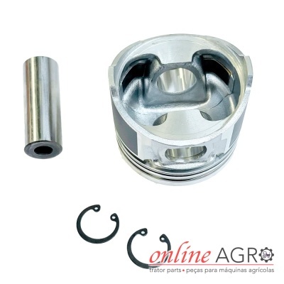 Conjunto de pistão metálico com pino e anéis de segurança em fundo branco com texto online AGRO