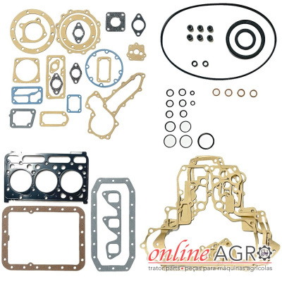 Conjunto de juntas variadas para motor organizadas sobre fundo branco
