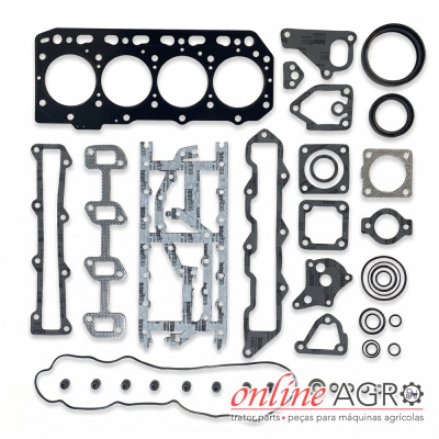 Conjunto de juntas e anéis para motor, várias formas e tamanhos, fundo branco, texto online AGRO
