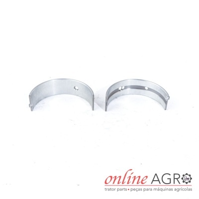 Metades de casquilhos metálicos prateados sobre fundo branco com logotipo online AGRO