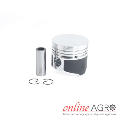 Pistão metálico com pino e anéis em fundo branco com texto online AGRO.