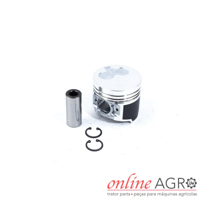 Conjunto de pistão metálico com anéis e pino em fundo branco, com texto online AGRO