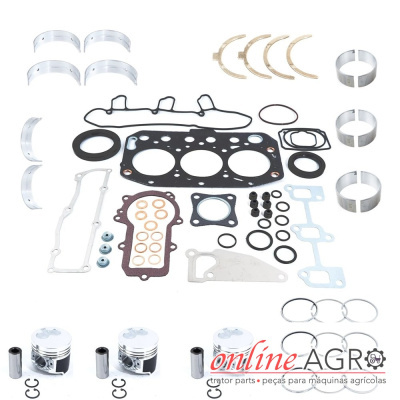 Conjunto de peças de motor para máquinas agrícolas organizadas sobre fundo branco