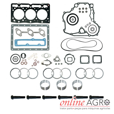 Conjunto de peças para motor organizadas, com juntas, anéis, casquilhos e parafusos, sobre fundo branco com logo online AGRO.