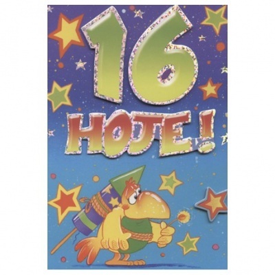 Cartão de aniversário azul com texto '16 HOJE!' e um papagaio amarelo com foguete