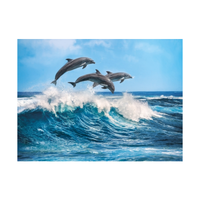 Golfinhos a saltar sobre ondas do mar