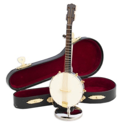 Banjo com estojo preto aberto de interior vermelho