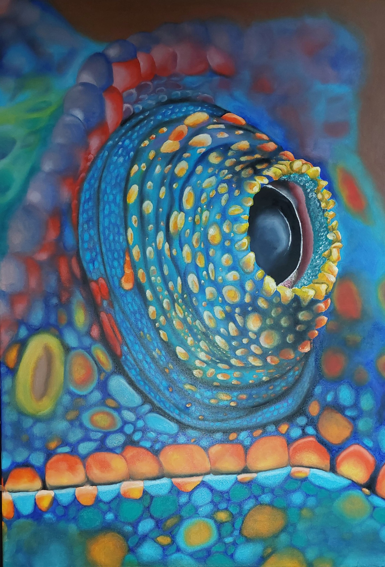 Chameleon eye