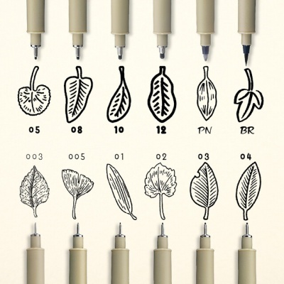 Canetas de desenho com pontas de diversas espessuras e ilustrações de folhas desenhadas