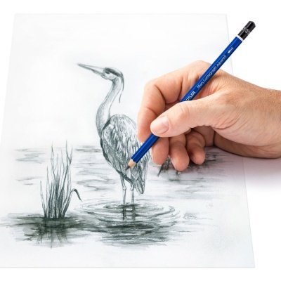 Lápis azul STAEDTLER desenhando pássaro aquático em papel branco