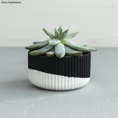 Vaso cerâmico bicolor com planta suculenta verde sobre superfície cinza