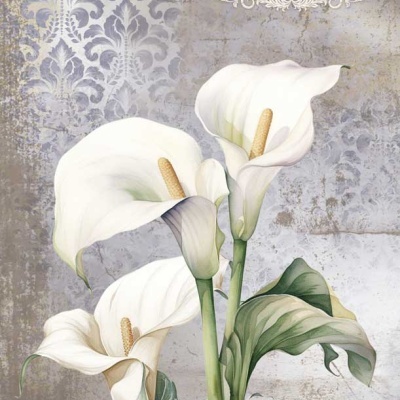 Imagem decorativa de flores copos-de-leite em fundo texturizado cinza com padrão ornamental e texto