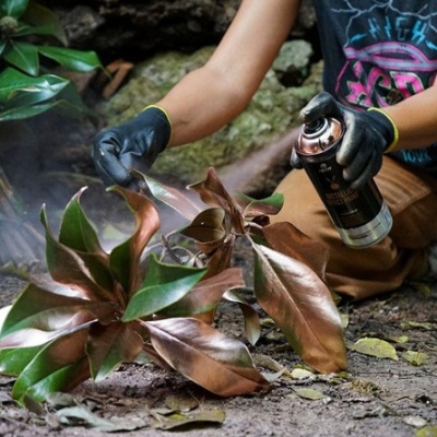Pessoa a pintar folhas com spray de tinta bronze metálica na natureza