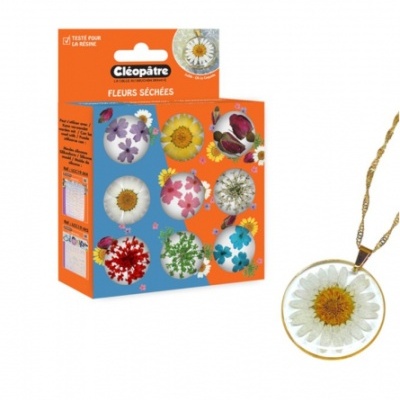 Embalagem de flores secas da Cléopâtre para resina com várias flores coloridas e fundo laranja e azul.