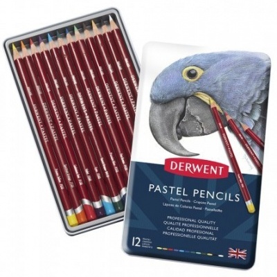 Conjunto metálico de lápis de pastel Derwent com 12 lápis coloridos e imagem de uma arara azul na tampa
