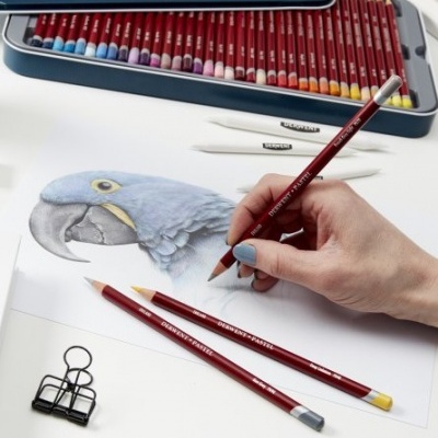 Conjunto de lápis de cor DERWENT PENCIL com desenho de papagaio azul sendo feito