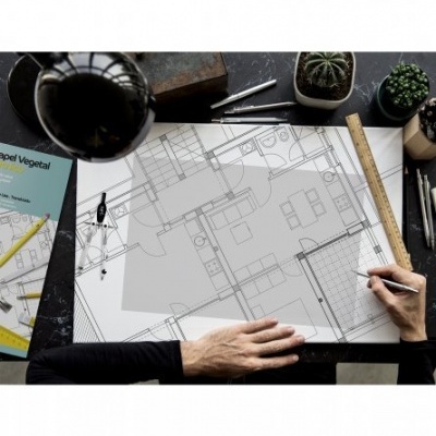 mesa com planta arquitetónica, mãos a desenhar, régua, caderno e suculentas