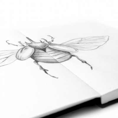 Desenho a lápis de um escaravelho em livro aberto