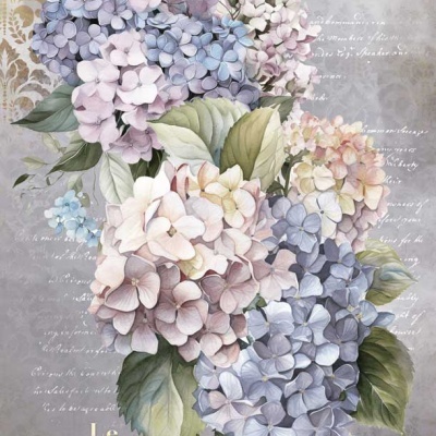 Ramo de flores hortênsias coloridas com fundo cinza e texto decorativo francês