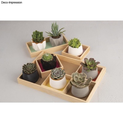Vasos de suculentas em cerâmica dentro de bandejas de madeira