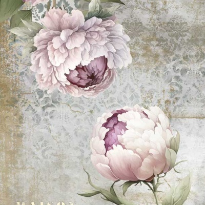 papel de parede floral rosa e verde com fundo cinza e texto MAISON Confiance PARIS