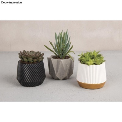 Três vasos decorativos com plantas suculentas em fundo cinza