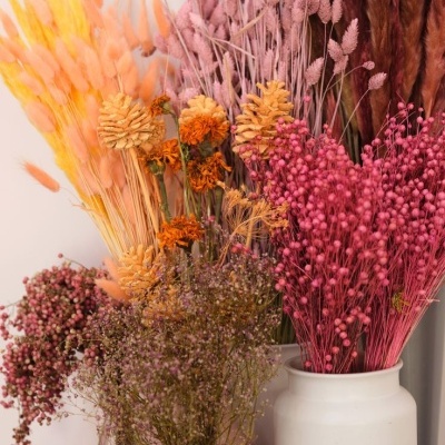 Flores secas coloridas em vasos de cerâmica branca e rosa