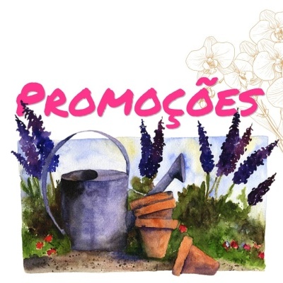 Regador metálico cinzento, vasos de barro e flores roxas com texto PROMOÇÕES