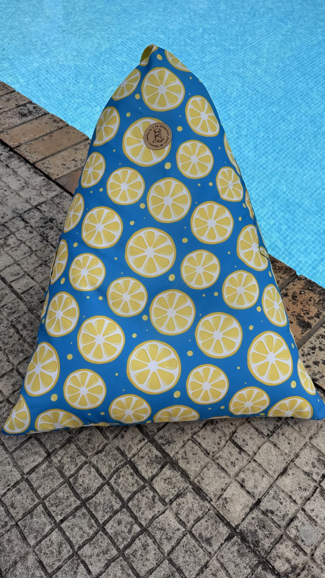 Puff de Praia #111 (versão de capa amovível)