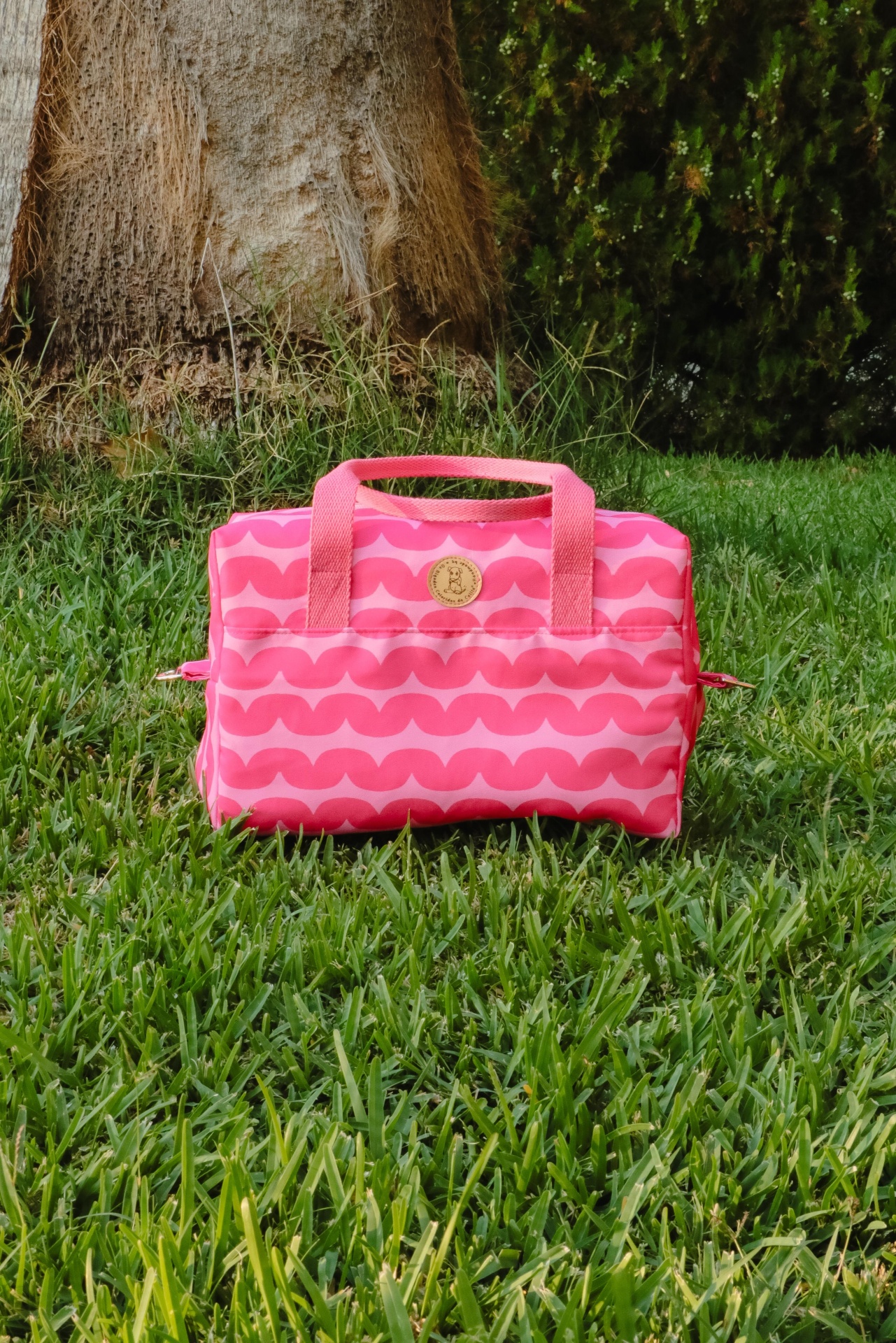 Lancheira Térmica Freskka 001