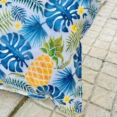 Almofada de Praia Arruda Pineapple