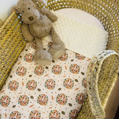 Mantinha Amigo Leão