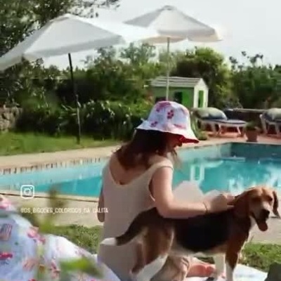 Acessórios estampados com lagostas junto a uma piscina e logo da marca.