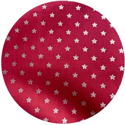 Estrela de Natal Personalizadas Pets