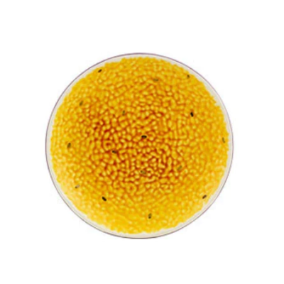 Prato Maracujá Sobremesa Bordallo Pinheiro