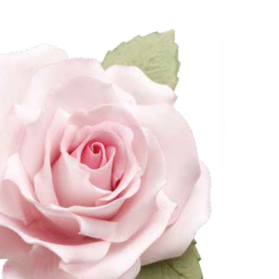 Conj. 7 Cortadores Rosa