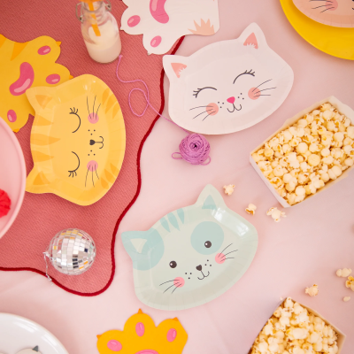 Pratos Gatinnhos Cabeças