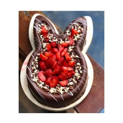 Forma Piscina Coelho Grande