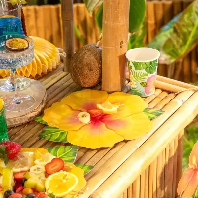 Pratos Flor Havaiana
