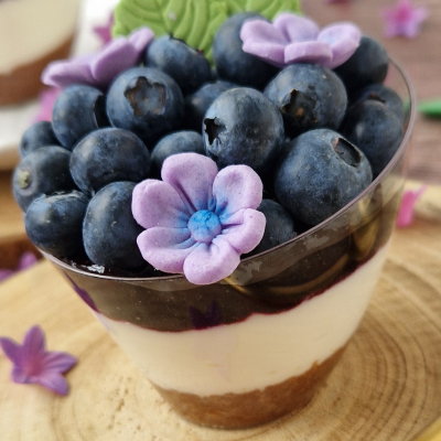 Taça Plástico Transparente Wave 120ml