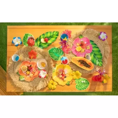 Pratos Flor Havaiana